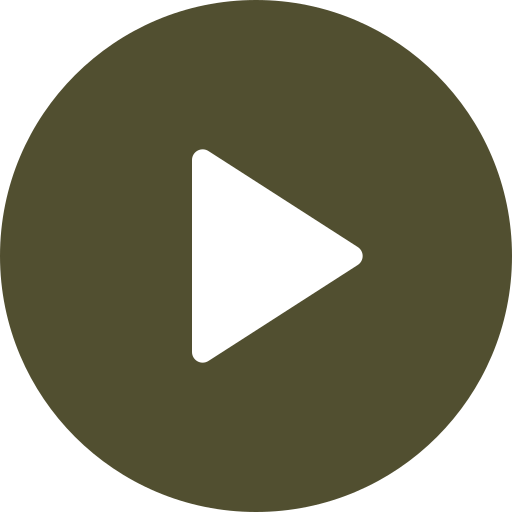 Video abspielen